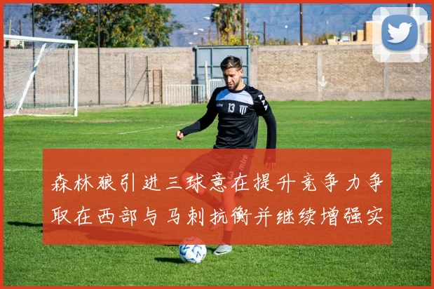 森林狼引进三球意在提升竞争力争取在西部与马刺抗衡并继续增强实力